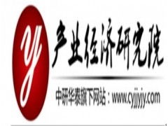 中國軟件服務外包行業市場現狀調研及投資戰略研究報告